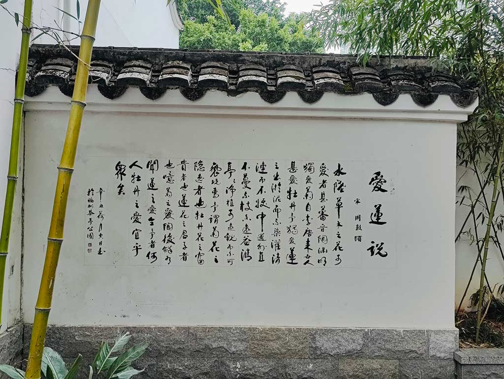 竹撑四季，莲徒爱说
