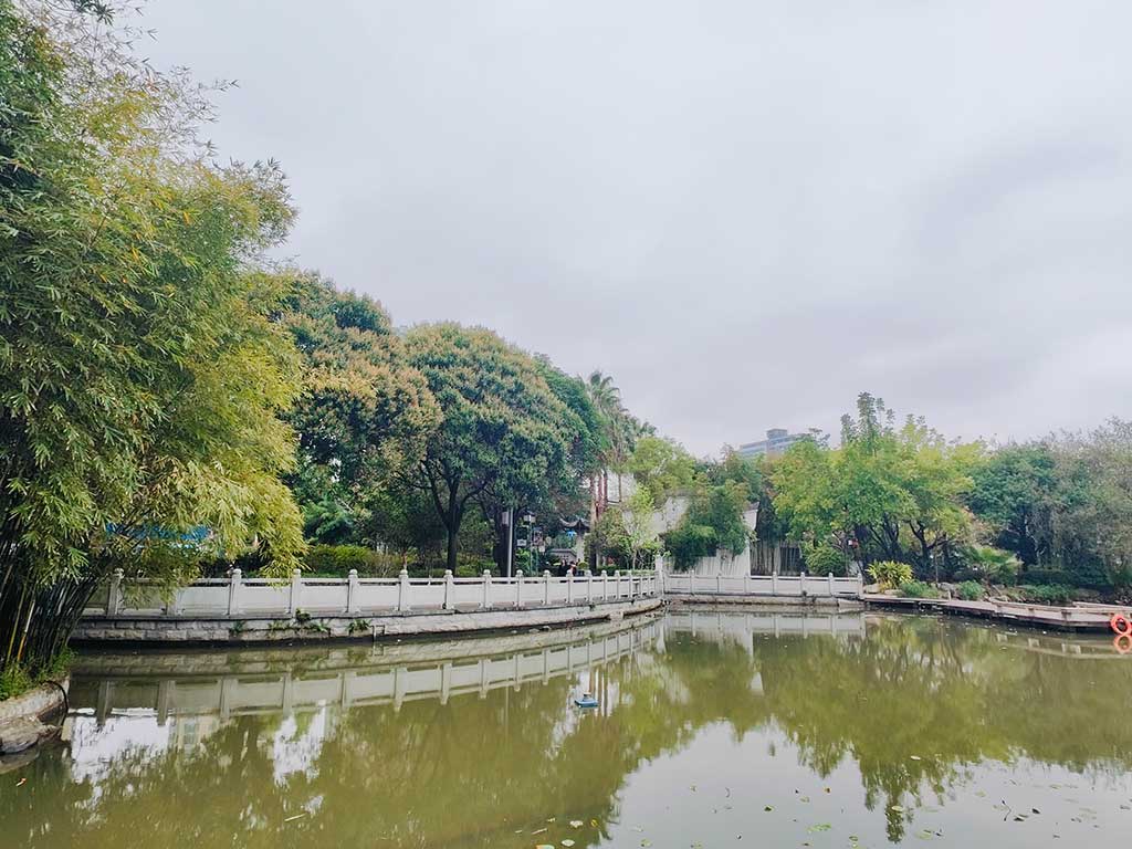 戏台视角，荷香不遇