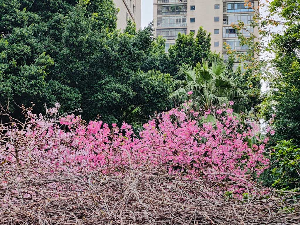 再换一个角度，如火如荼