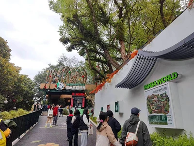 平平无奇的大门入口 缩略图