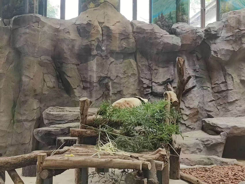左边的熊猫1