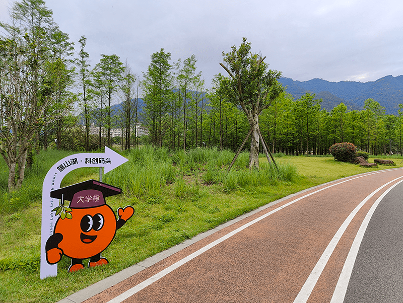 大学橙指路